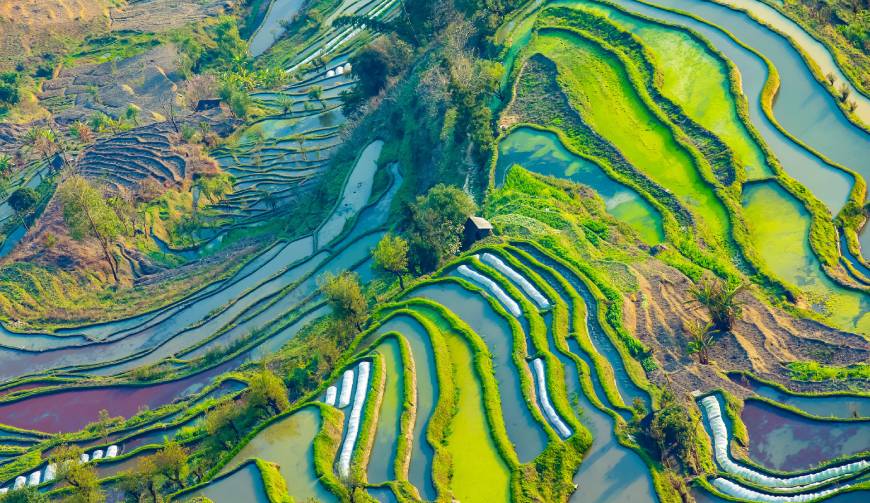 走进利津县TVC拍摄：解锁本地化场景与创意镜头的完美融合